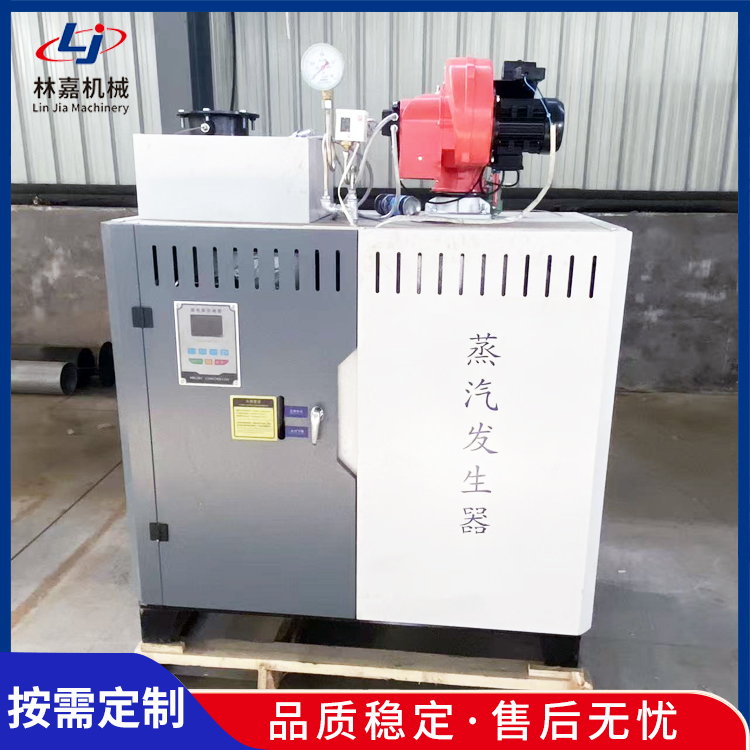 小型燃气蒸汽发生器